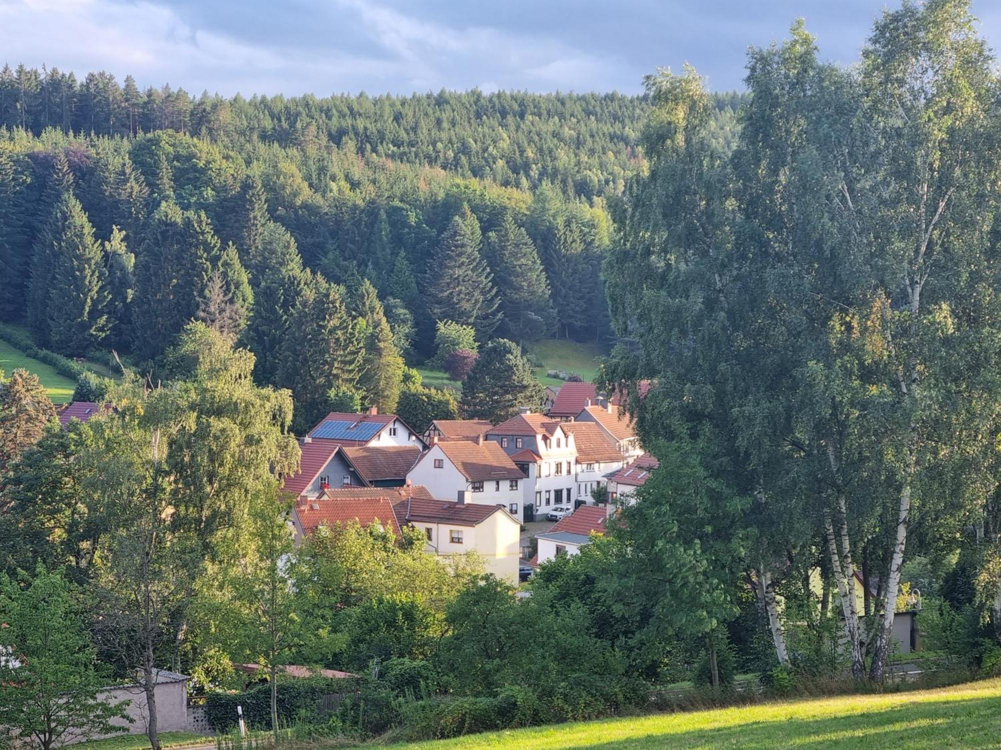 Superior - Ferienhaus Am Engelsbach Im Thueringer Wald Dış mekan fotoğraf